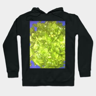 Chopped Baby Spinach With Garlic and Peppers Hoodie